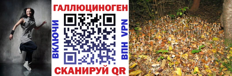 блэк спрут   Бикин  Галлюциногенные грибы ЛСД 